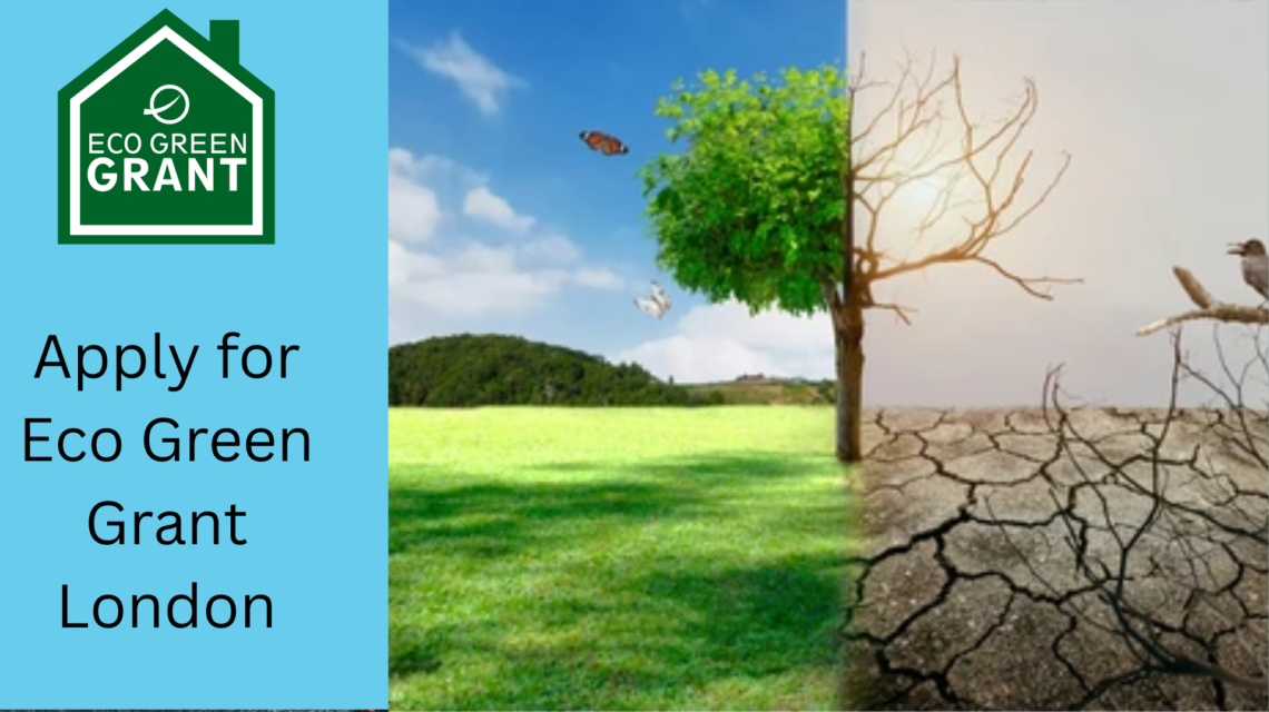 Eco Green Grant london