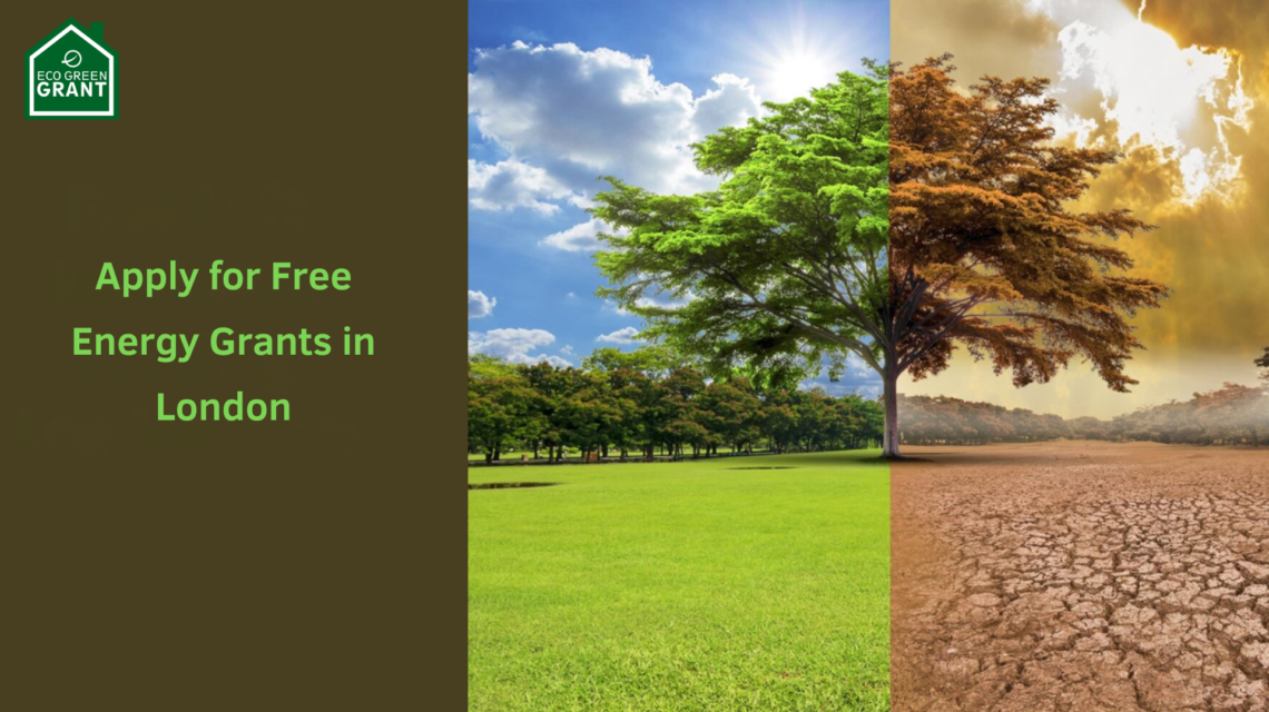 Apply for Free Energy Grants in London - Save Big on Bills! 5 Apply for Free Energy Grants in London