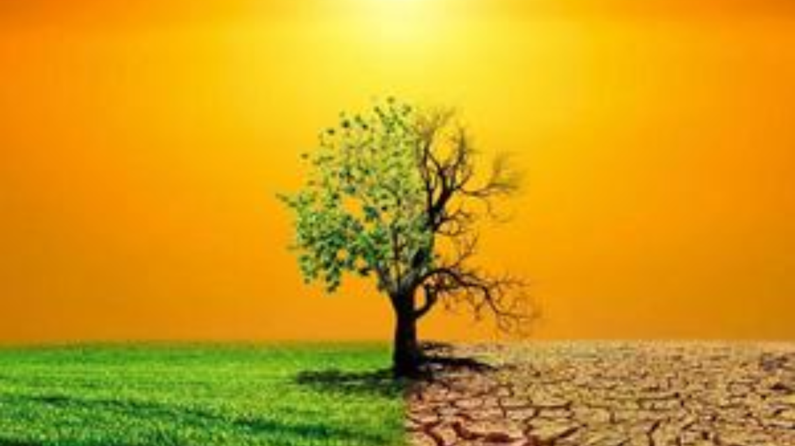 Unlock Your Savings with Apply Free Loft Insulation Installation London 2025 4 Free Loft Insulation Installation London 2025