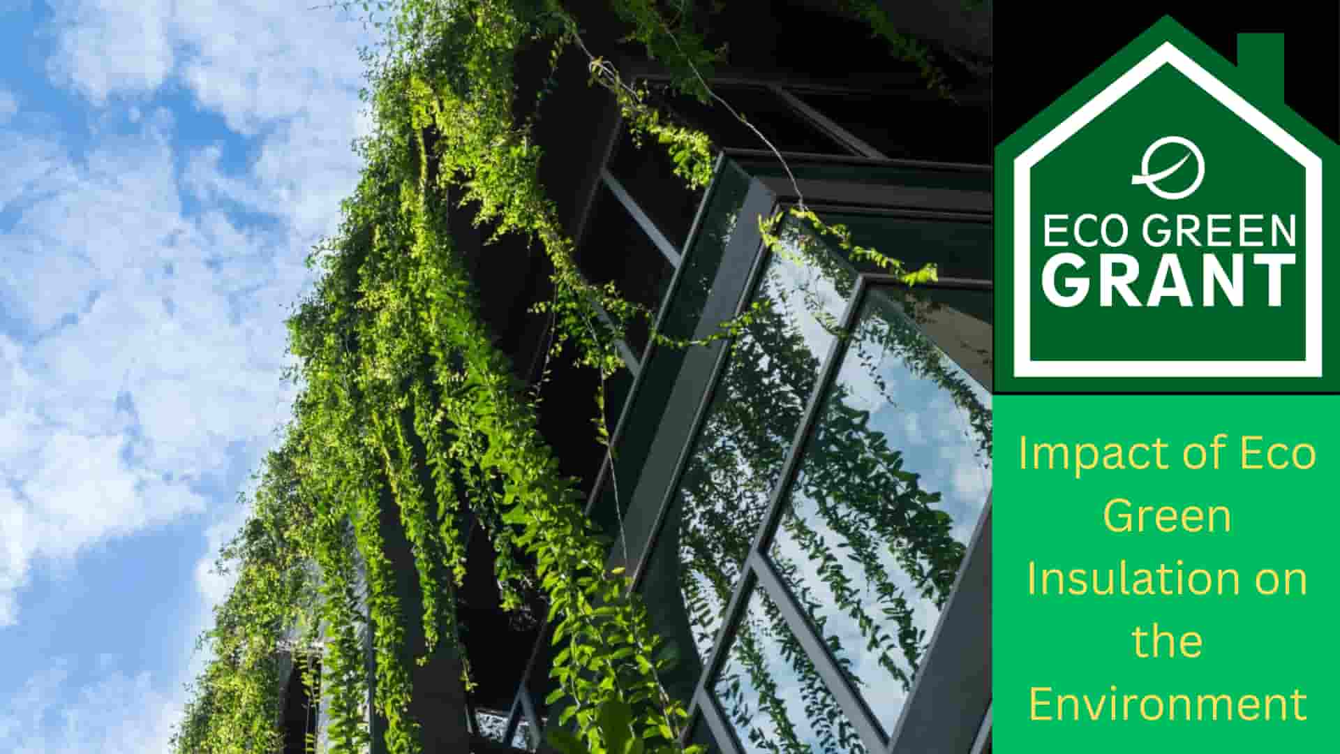 Impact of Eco Green Insulation on the Environment